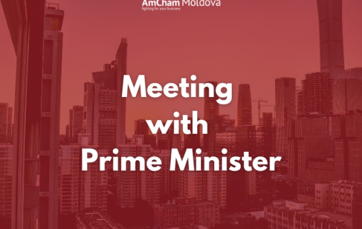 Meeting with the Prime Minister, Dorin ...