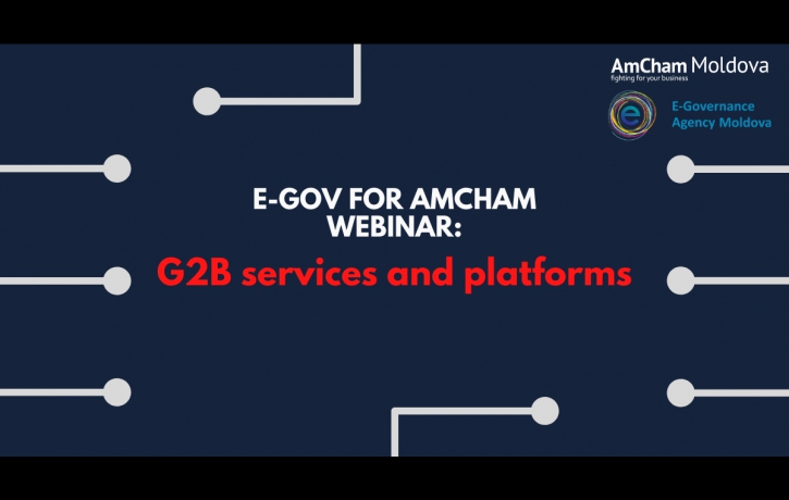 G2B Services and Platforms: an EGov to AmCham ...