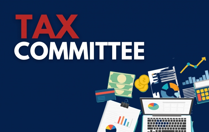 Tax Committee Meeting - Restrictions on Auditing ...